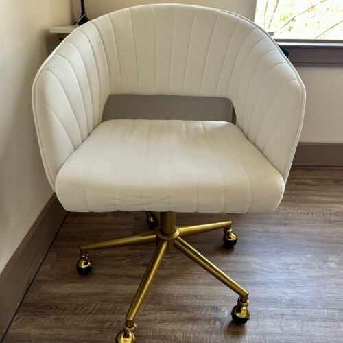 IMG_2143 Office Chair