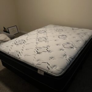 Slightly Used Queen Bed, Box Spring, and Frame