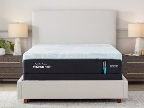 Tempur-Pedic TEMPUR-ProAdapt® 12 (QUEEN)