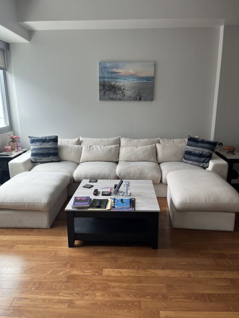 Wayfair beige sectional sofa