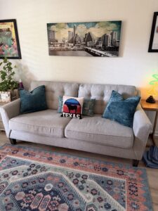 Living Spaces Sleeper Sofa