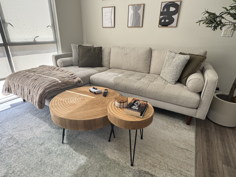 Living Spaces 2-piece sectional couch + coffee table set + rug