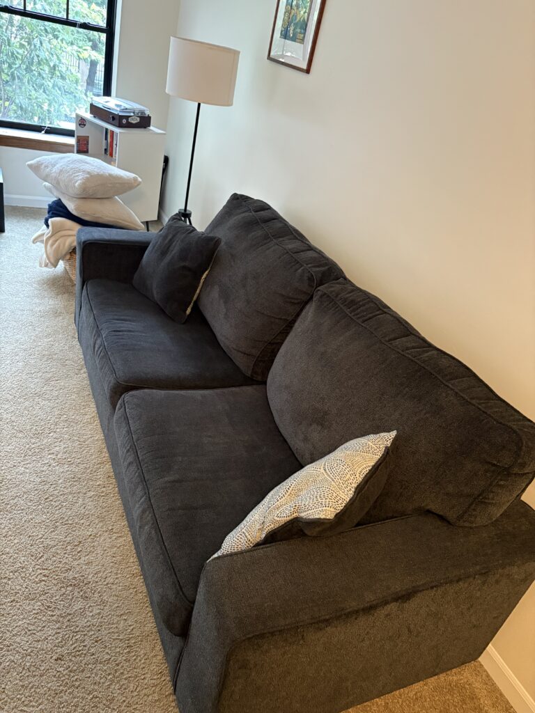 Sofa Couch with pullout full sized bed