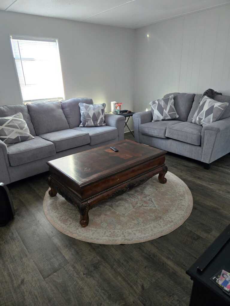 Couch/ Loveseat