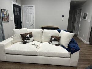Living Spaces large couch